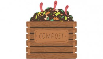Retour sur l'inauguration du 12 Janvier du nouveau site de compostage
