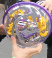 Perplexus 2025