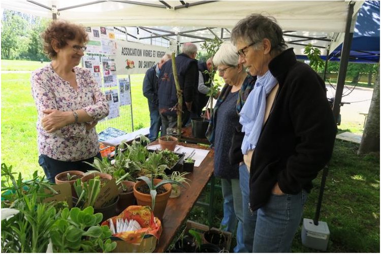 Echanges de plantes