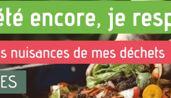 Gestion des déchets pendant l'éte