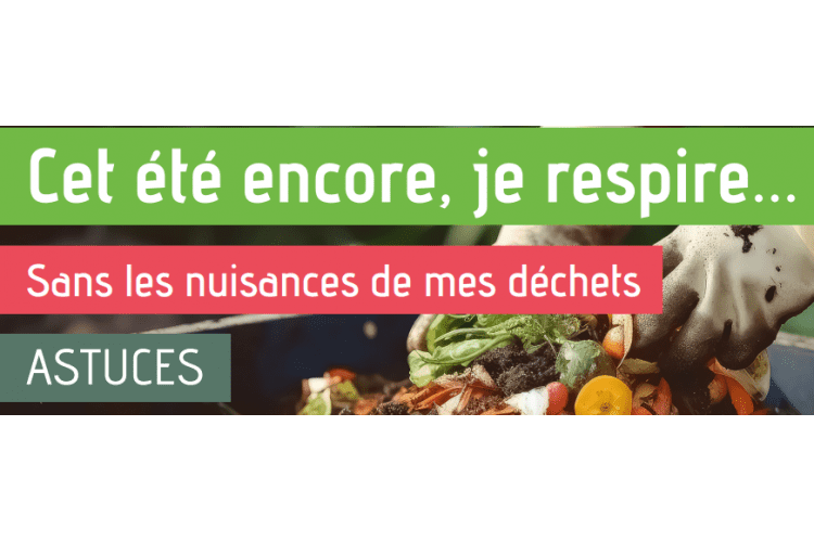 Gestion des déchets pendant l'éte