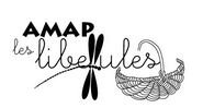 Amap les libellules